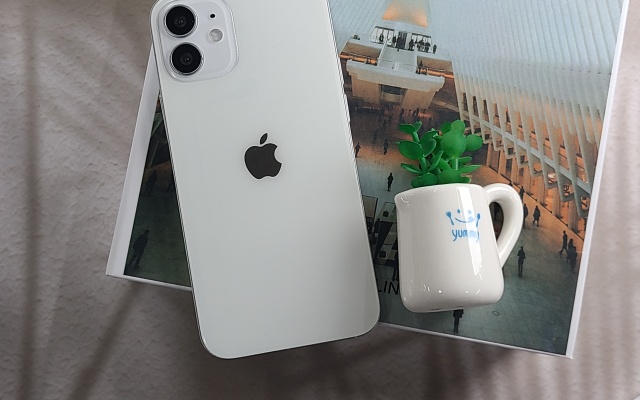 대표 이미지 1
